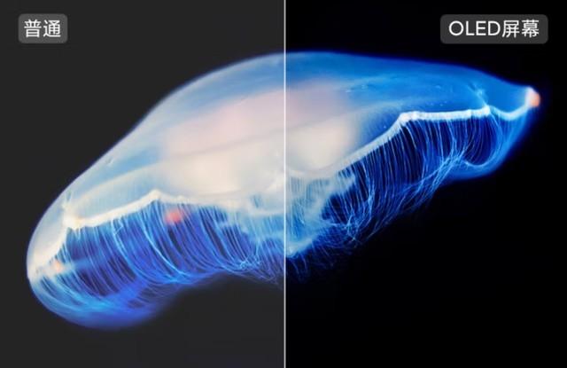 同样预算OLED和液晶电视究竟该如何选择?(图4) 同样预算OLED和液晶电视究竟该如何选择?(图4)